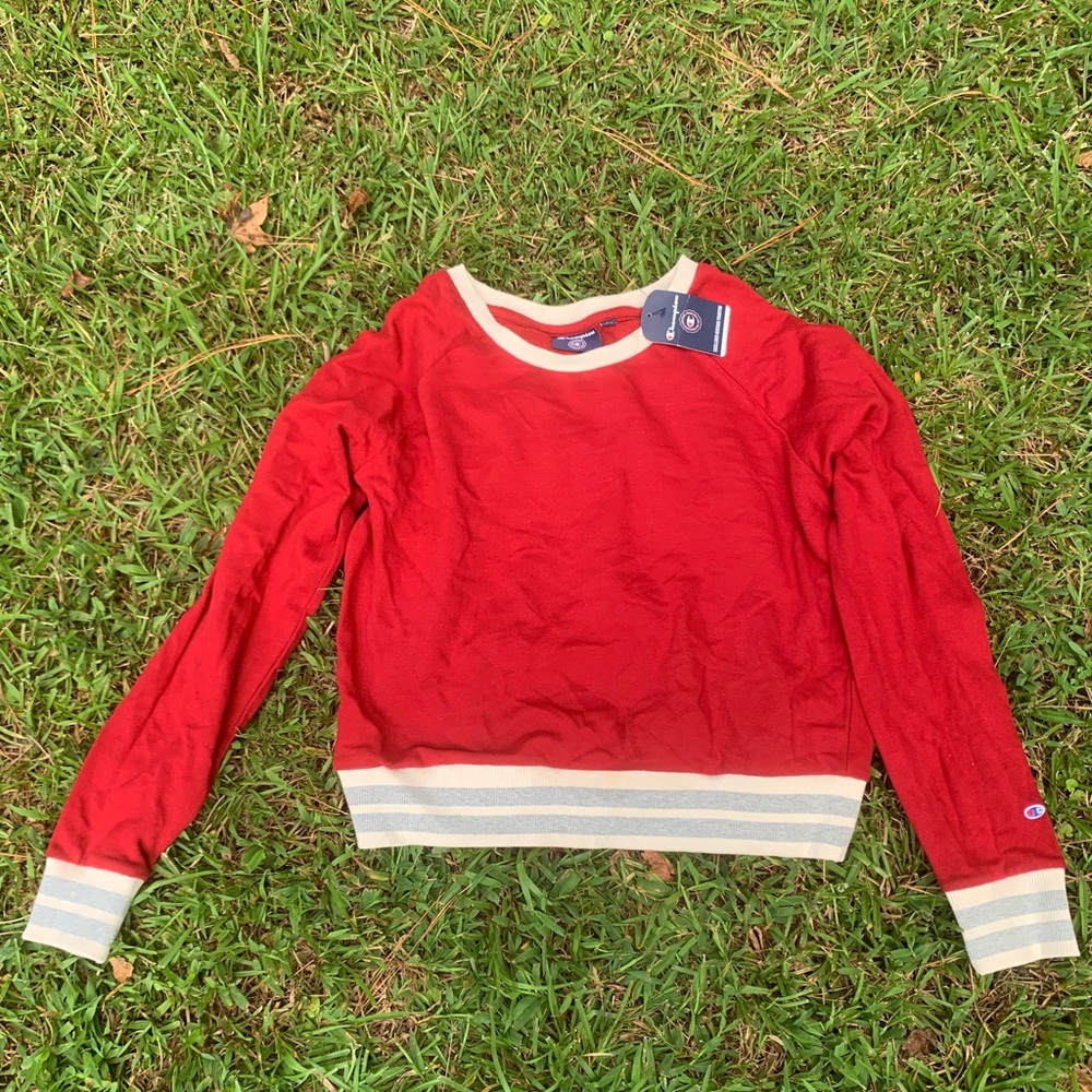 Champion Sweater